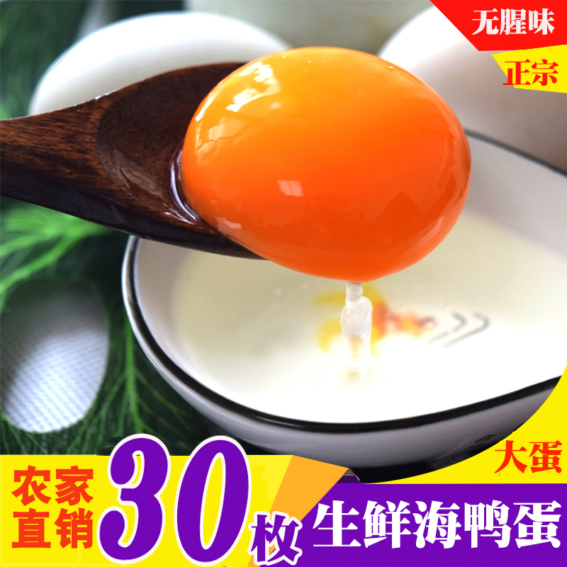 广西北海北部湾现捡30枚生海鸭蛋