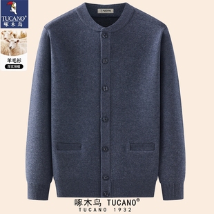 啄木鸟羊绒开衫男秋冬2025新款高端时尚休闲羊毛外套针织毛衣男装