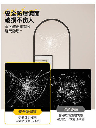 全身镜落地镜客厅卧室家用穿衣镜化妆可旋转现代极简网红轻奢镜子