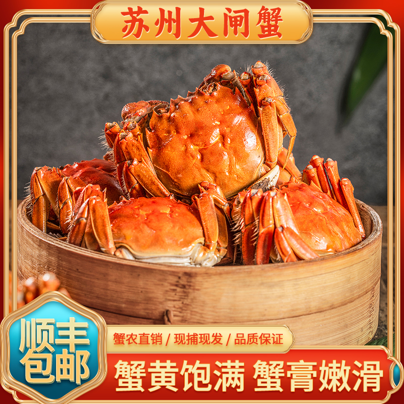 缺脚大闸蟹活蟹残蟹6只鲜活螃蟹特大河蟹净重4两母苏州塘蟹3两母