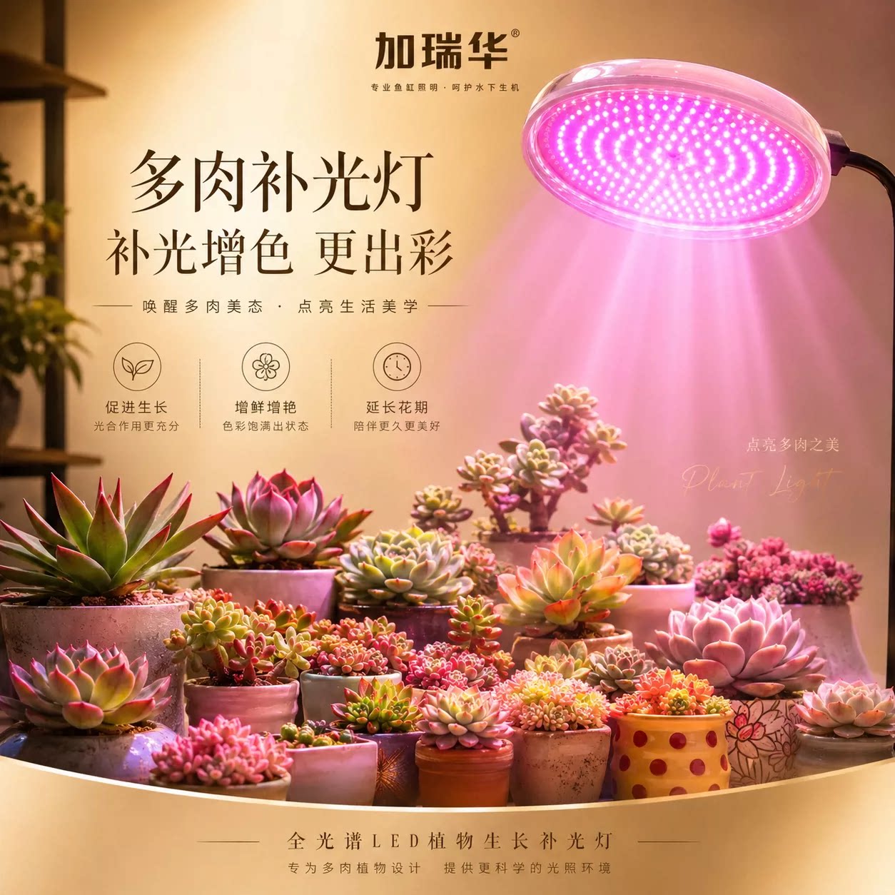 多肉灯全光谱led红蓝配植物生长补光灯仿太阳光灯日照灯上色灯泡