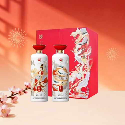 泸州老窖 礼盒白酒 风华毓秀 500ml*2瓶浓香型52度 年货送礼 自饮