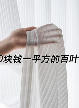 2023新款梦幻窗帘竖百叶纱帘卧室透光不透人窗纱白色阳台客厅定制