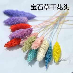宝石草干花包花头美人草风干花手工永生花材料包家居装饰浮油压花