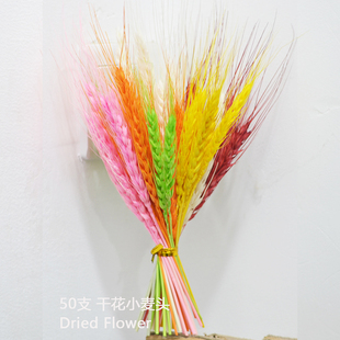 天然风干小麦干花包短枝永生花压花押花浮油花手工花材料包田园风