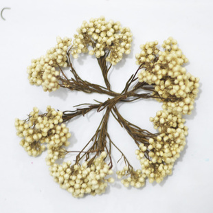 永生米花花头DIY手工短枝干花包花盒填充配花浮油花相框画材料包