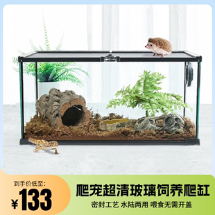 蜥蜴守宫蛇甲虫陆龟爬宠爬虫盒角蛙饲养箱 异宠透明玻璃爬缸