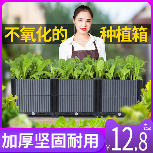 家庭阳台种菜专用箱楼顶