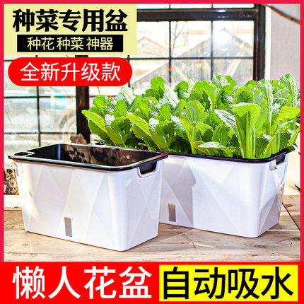 种菜神器家庭阳台菜盆蔬菜种植专用箱种菜盆长方形懒人花盆自吸水