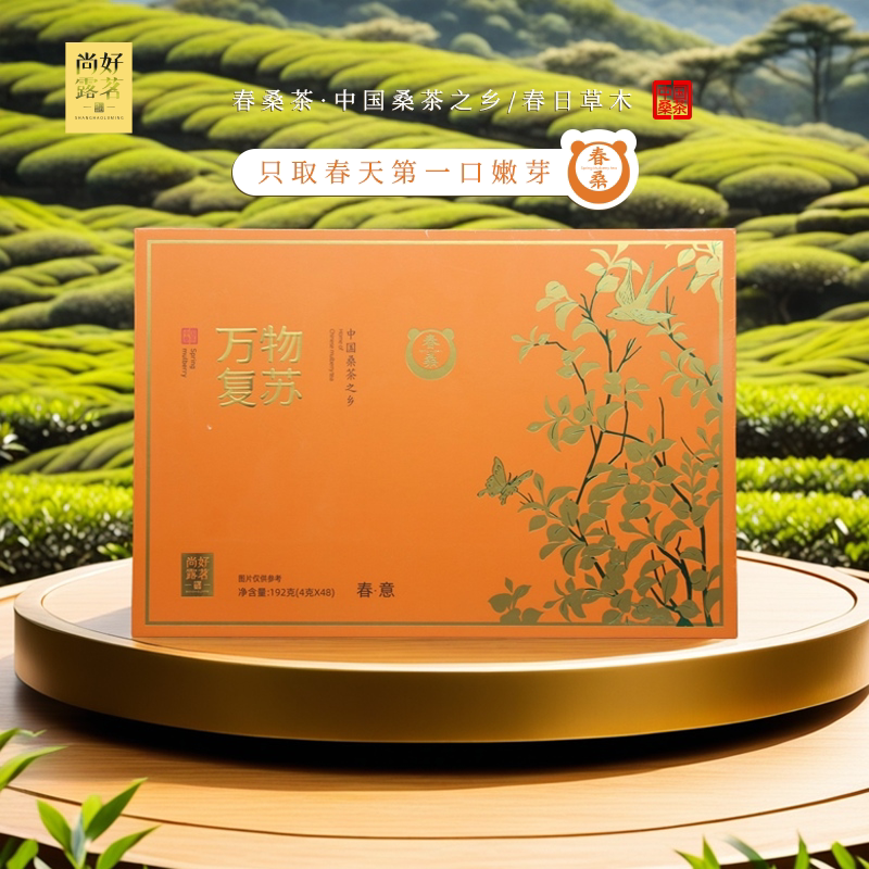 桑叶茶尚好露茗桑芽茶四川图片