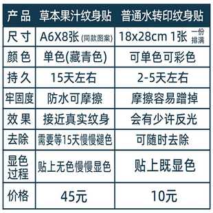 草本纹身贴定制果汁植物图案名字英文男女防水持久仿真订做半