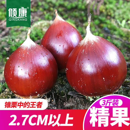 新鲜栗子锥栗毛栗子建瓯圆生板栗