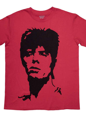 1973David Bowie 大卫 鲍伊摇滚红色Sid Vicious同款复古男短T恤