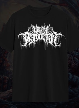 Within Destruction 在毁灭之中黑金属乐队暗黑破坏美式男纯棉T恤