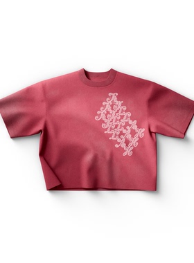 Lady Gaga美国流行乐女歌手欧美人物图案美式休闲男女纯棉T恤短袖