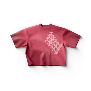 Lady Gaga美国流行乐女歌手欧美人物图案美式休闲男女纯棉T恤短袖