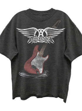 夏季上新 Aerosmith史密斯飞船乐队硬摇滚宽松vintage男士短袖T恤