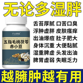 祛湿神器湿寒湿热舌苔白五指毛桃红豆薏米去除湿寒气 湿气排空