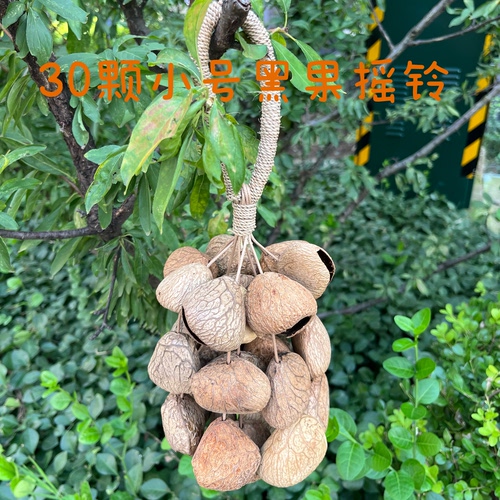 果壳摇铃串铃印尼果实铃铛小众舞蹈伴奏风铃音疗音束疗愈瑜伽乐器