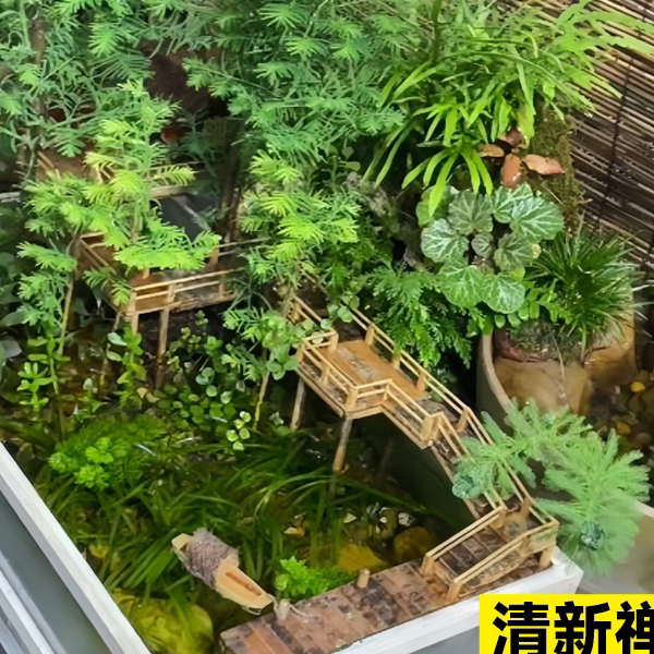 水杉培鱼缸造景溪流盆栽池图片