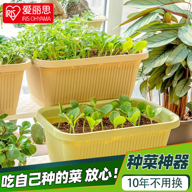 爱丽丝室内阳台楼顶种菜专用箱家庭种菜箱实用花盆种植种菜盆大号