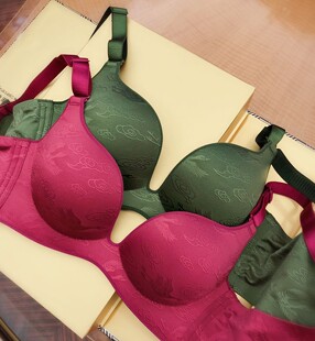 香港正品 浪漫电波量子胸罩无痕收副乳无钢圈聚拢文胸 幸福狐狸新款