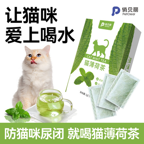 猫薄荷茶包帮助猫咪喝水