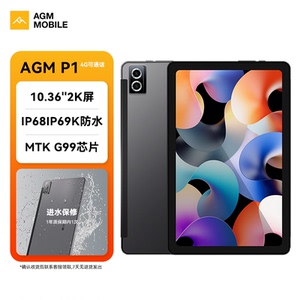 AGM PAD P1防水平板10.36英寸 2K高清屏 4G全网通WIFI二合一 护眼影音娱乐办公学生网课平板电脑 8G+256G
