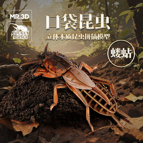 口袋昆虫蝼蛄童木制拼插模型摆件