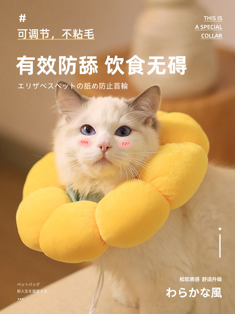 猫咪项圈伊丽莎白圈狗狗防舔软头套伊莉伊利沙白羞耻脖圈绝育用品