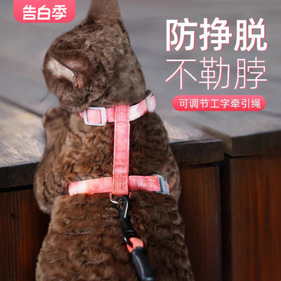 猫咪狗狗牵引绳小型背心式防挣脱