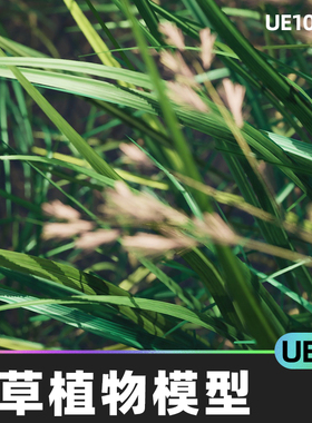Wild Grass - Kentucky Bluegrass 野草植物草地模型5.5虚幻UE5