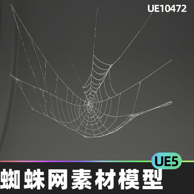 MAE Cobweb Collection 01 昆虫蜘蛛网素材模型5.4虚幻引擎UE5