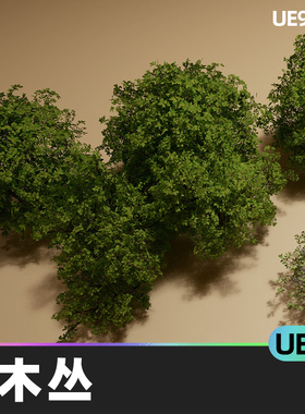 Foliage VOL 11 Bushes Nanite and Low Poly灌木丛UE5植物树木