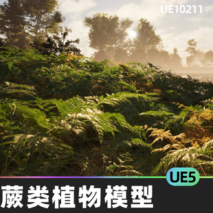 Foliage Bracken Nanite v1.1 蕨类植物模型5.5虚幻引擎UE5 Fern