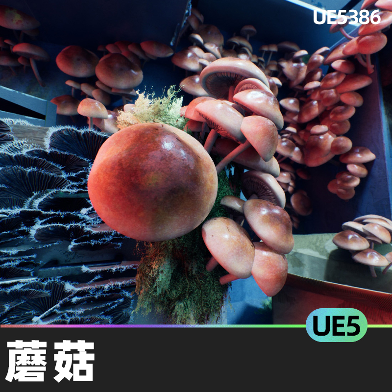 Invasive Fungi Mushroom Pack 2蘑菇5.0-5.2虚幻引擎UE5道具材料