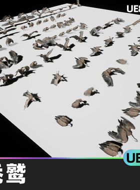 Vulture秃鹫5.3虚幻UE5模型动画翅膀鸟类动物羽毛第三人称角色