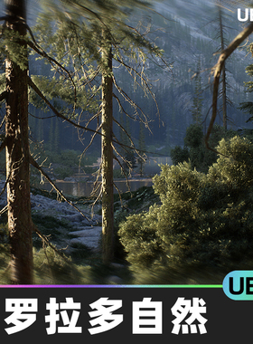 Colorado Nature山脉坡地森林湿地湖泊绿色牧场UE5自然风光地貌