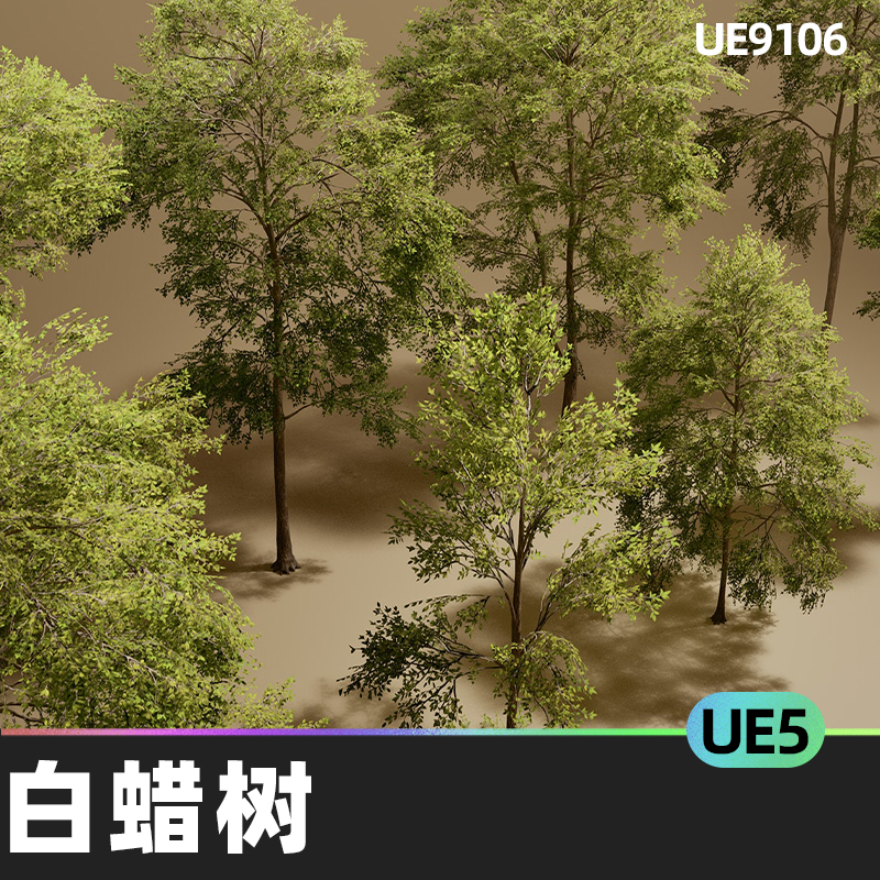 Foliage VOL 7 Ash Trees Nanite and Low Poly白蜡树UE5环境植物