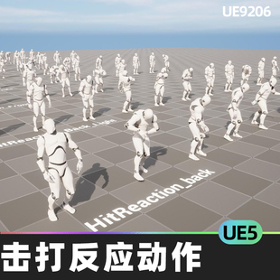 Pack UE4 Reaction UE5 Mannequin擊打反應(yīng)動(dòng)作UE5 Animation Hit