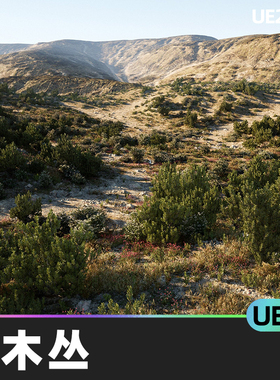 MW Shrubs and Bushes灌木丛5.0虚幻UE5摄影测量环境开放世界景观