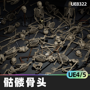Skeleton Bones骷髅骨头5.3虚幻UE5骨骼亡灵尸体头盖骨腿骨组织