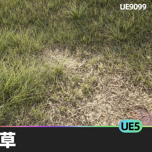 Nanite Grass Vol 1草5.3虚幻引擎5.4植物UE5道具草坪树叶环境