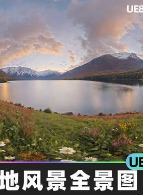 HDRI Meadow Landscapes Panoramas草地风景全景图UE5立方体贴图