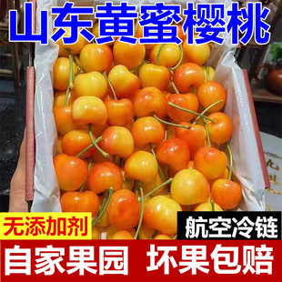 黄樱桃黄水晶黄蜜樱桃山东烟台大樱桃新鲜水果小樱桃黄车厘子 包邮