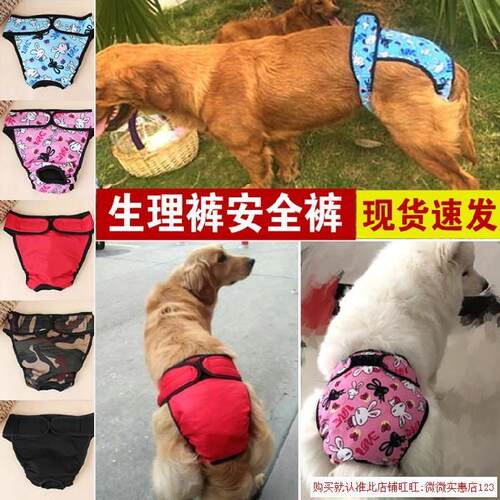 狗狗的生理裤销量排行榜 狗狗的生理裤品牌热度排名 小麦优选