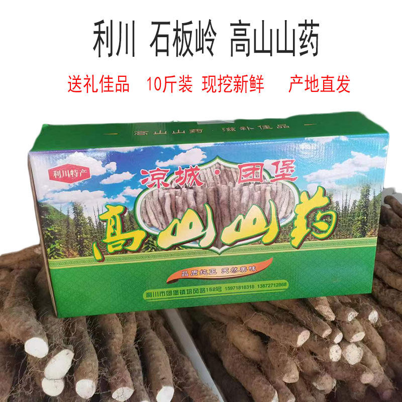 恩施利川团堡特产石板岭高山红皮米山药新鲜粉糯产地现挖礼盒10斤