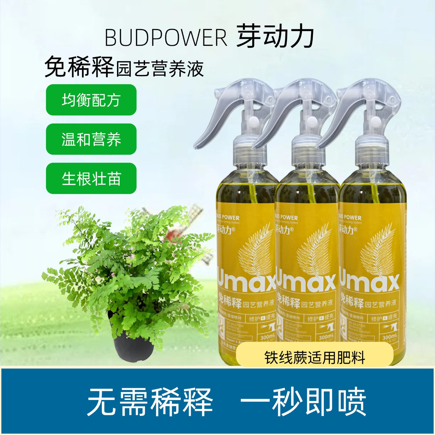 铁线蕨盆栽免稀释营养液铁丝草室内客厅观叶绿植叶面肥喷施水溶肥