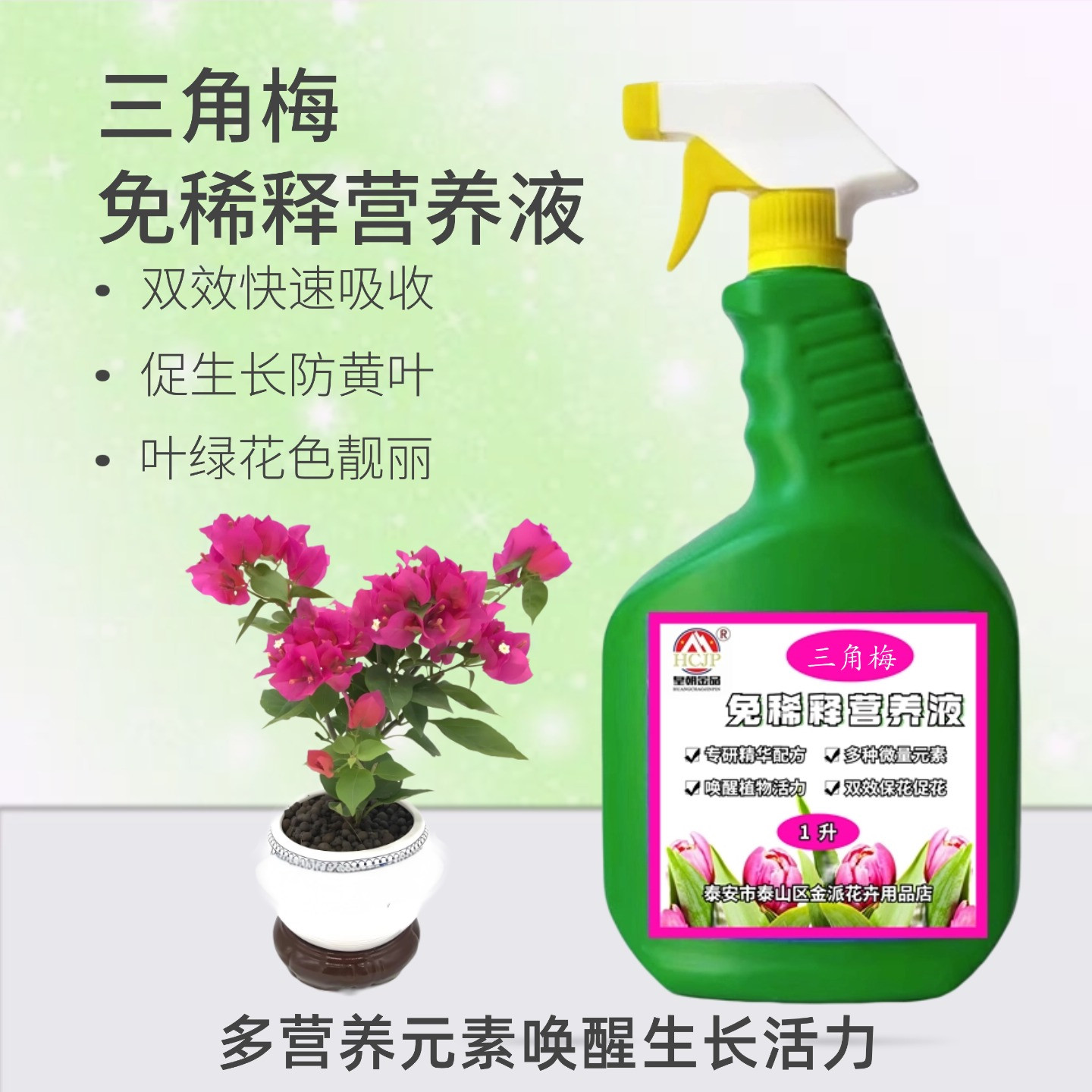 三角梅盆栽免稀释营养液叶面肥料