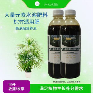 金山棕竹细叶棕竹大量元素营养液专用室内盆栽绿植浓缩喷施水溶肥
